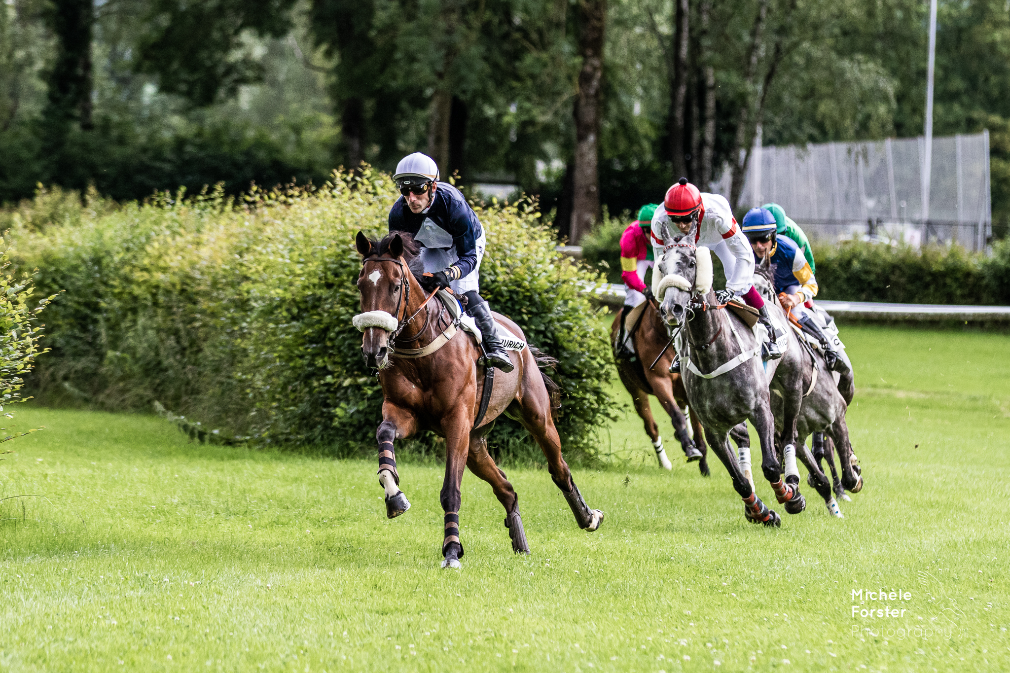 Steeple Chase