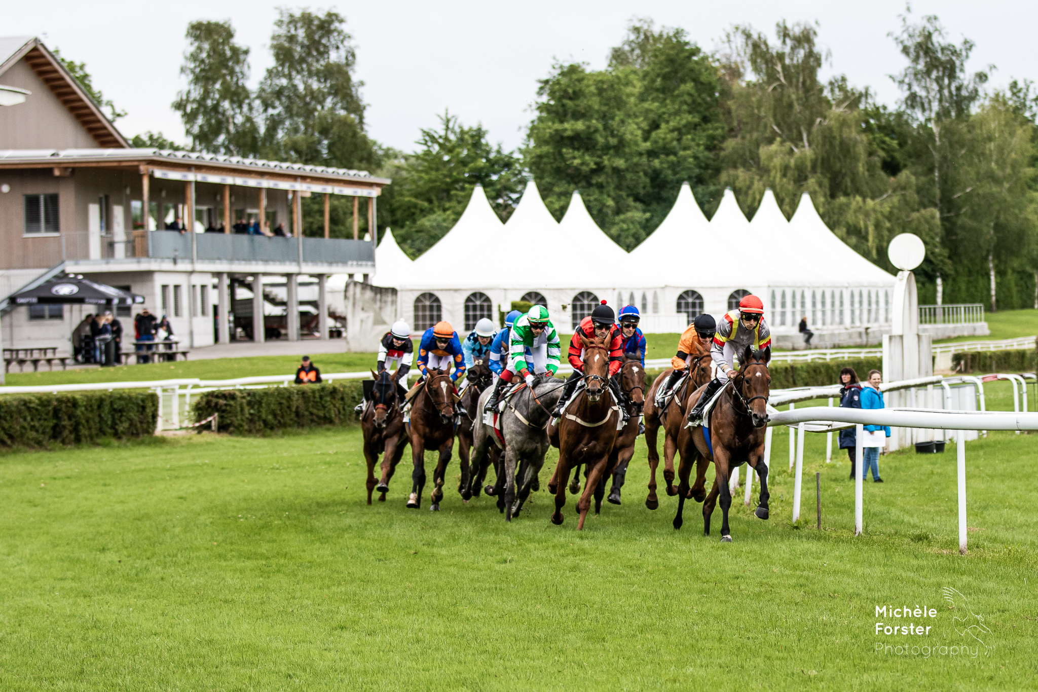 Galopp Schweiz