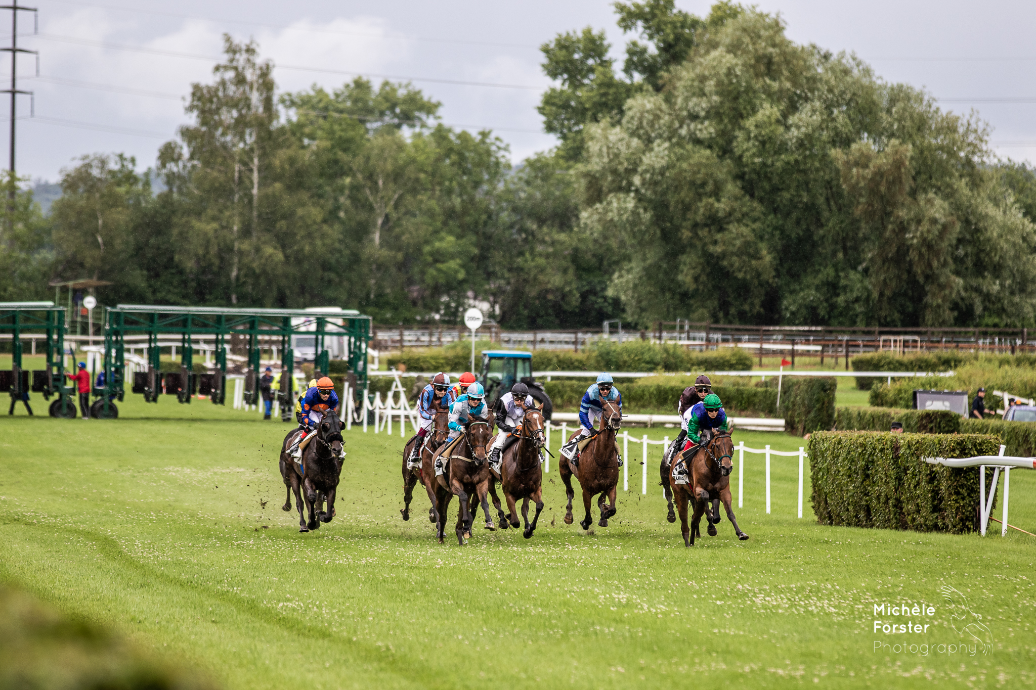 Meilenpreis Galopp Schweiz