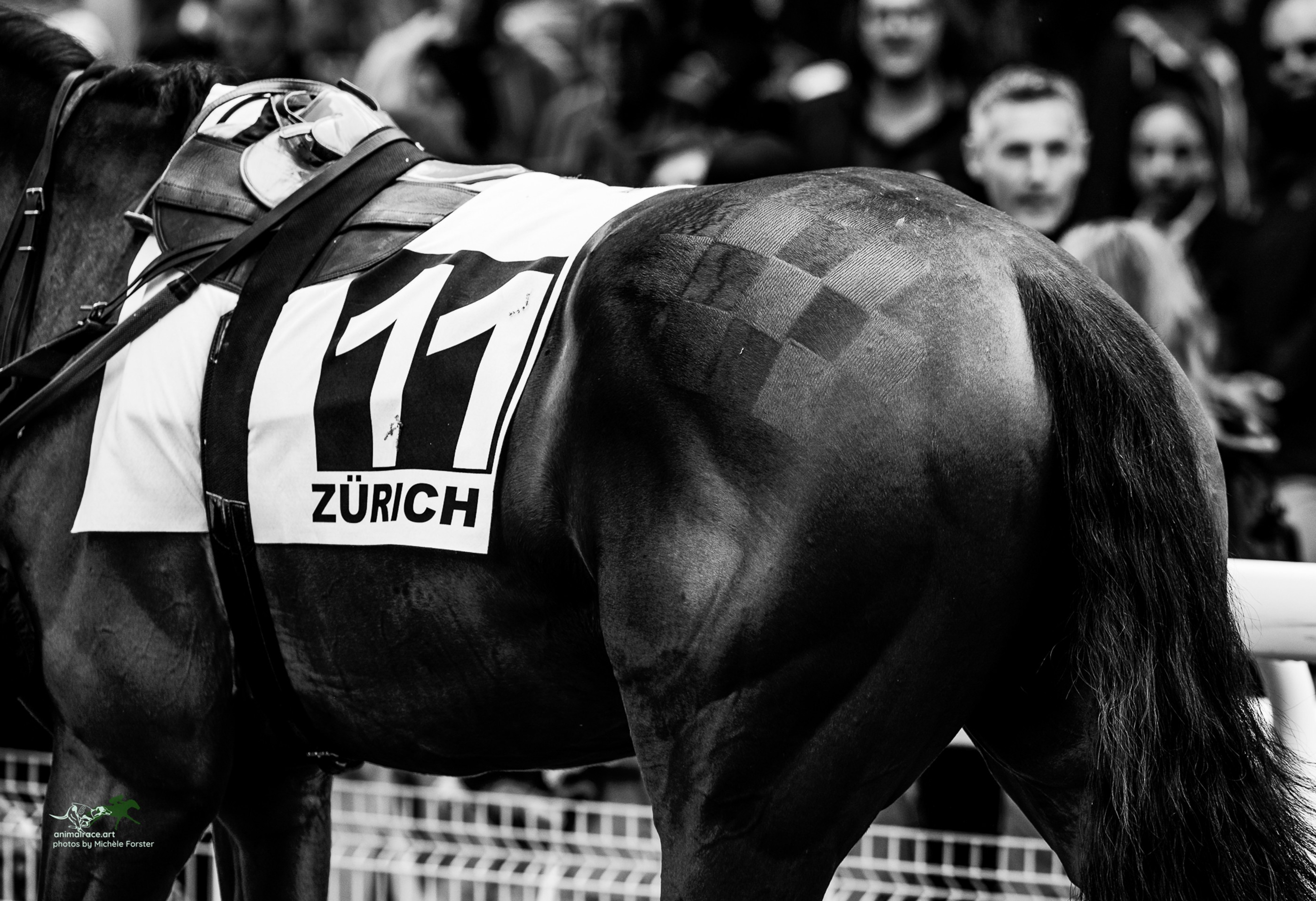 Wer wird als nächstes in die Hall of Fame aufgenommen?