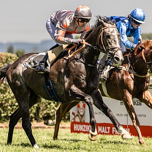 web 20250622 Dielsdorf animalrace.art 00677