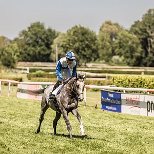 web 20250622 Dielsdorf animalrace.art 01276