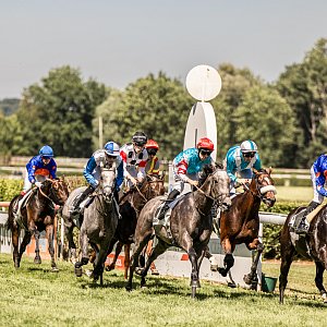 web 20250622 Dielsdorf animalrace.art 01347