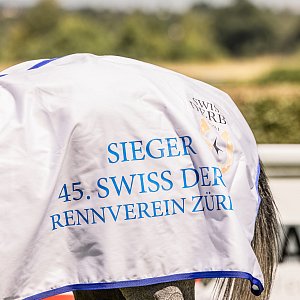 web 20250622 Dielsdorf animalrace.art 01430