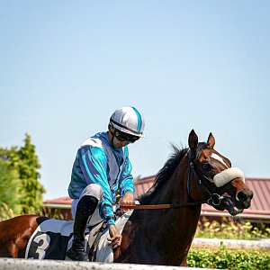 DSC00286