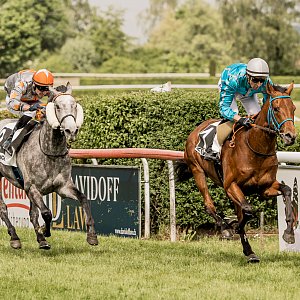 web 20260503 Dielsdorf animalrace.art 01278