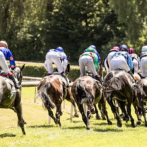 Feld Flachrennen_von hinten