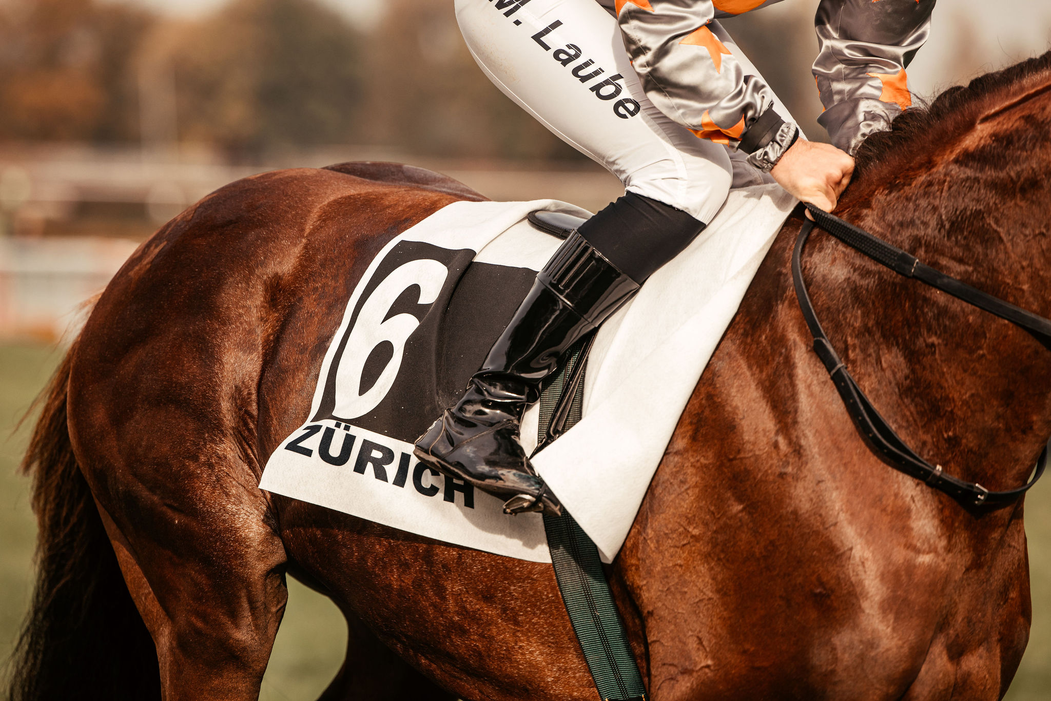 Vorschau auf den HERBST-RENNTAG vom 19. Oktober 2025